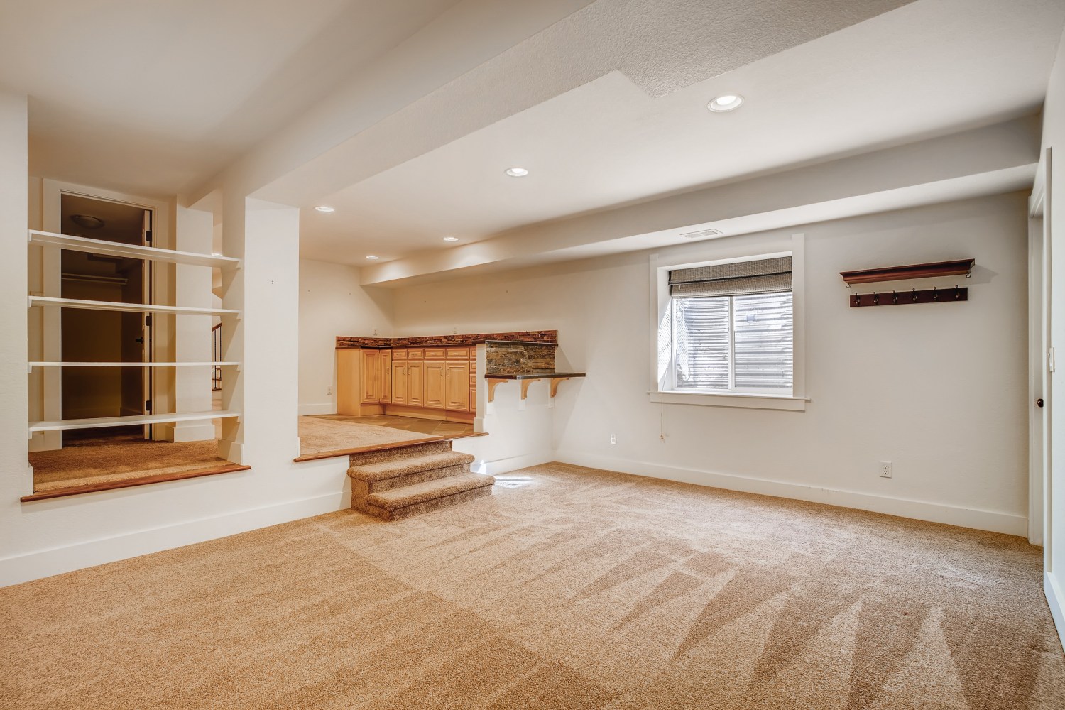 885-S-Vine-St-Denver-CO-Web-Quality-023-37-Lower-Level-Recreation-Room