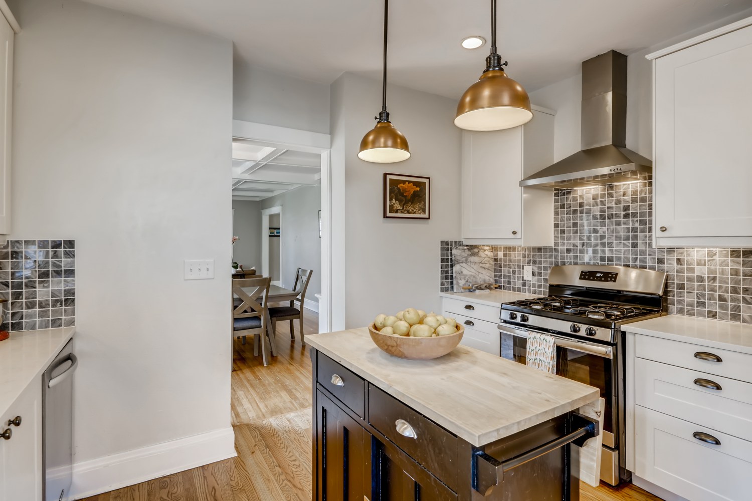 928-S-Williams-Denver-CO-Web-Quality-013-19-Kitchen