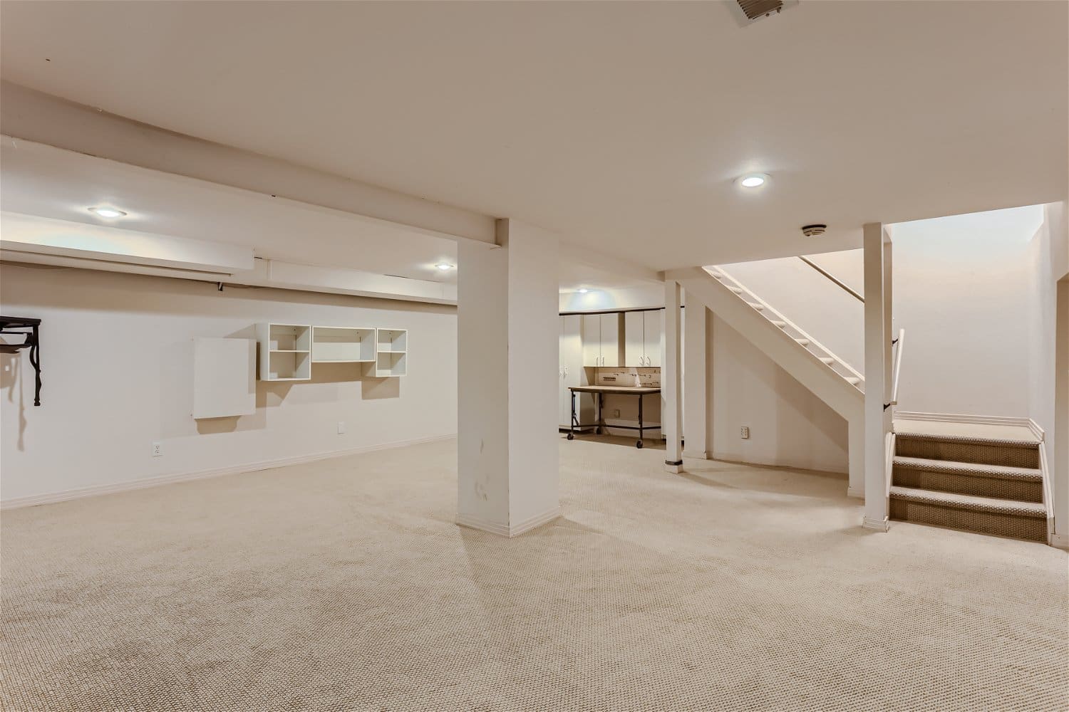 1158 S Vine St - Web Quality - 023 - 40 Lower Level Family Room