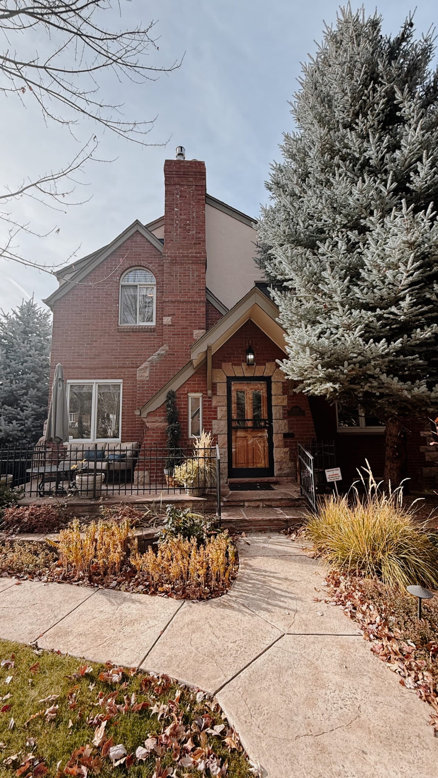 Edited in Tezza with: Dime, Brightness, Contrast, & Crop